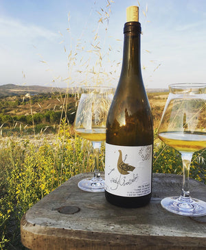 Lady Chasselas - Domaine Mylène Bru - Vin nature - Vin de guarrigue